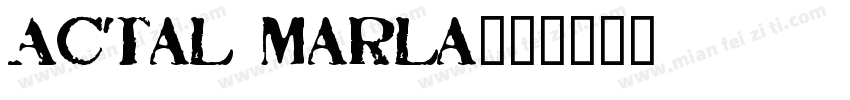 Actal Marla字体转换